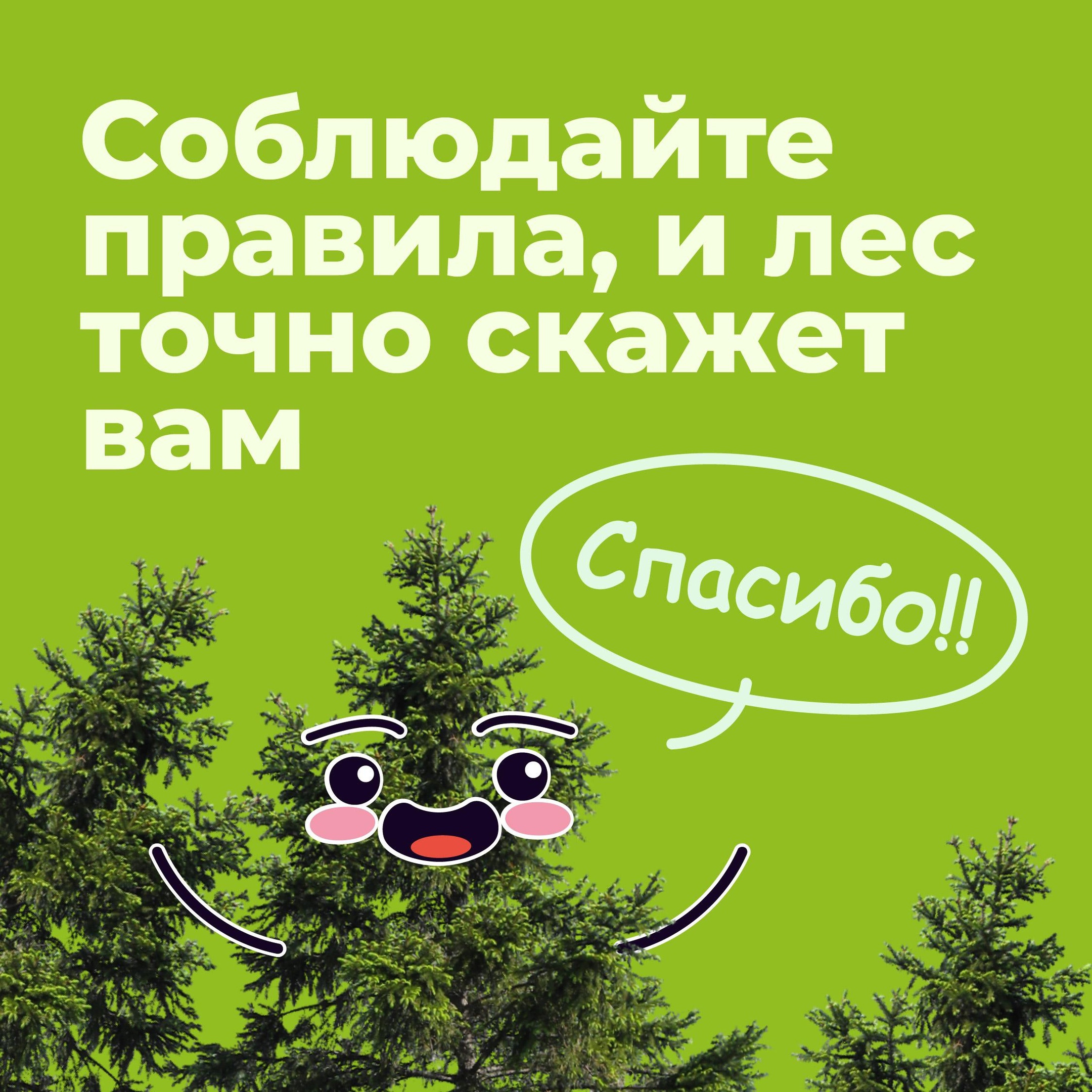 9 BYTgLBEezhU.jpg